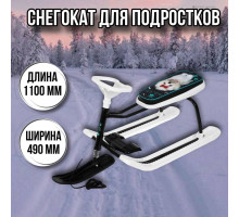 Снегокат подростковый Тимка спорт 1+ТС1+/БЛ с болонкой